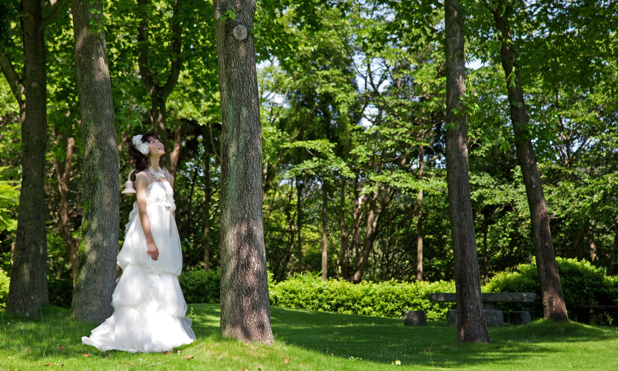 【公式】姫路市近郊にある森の中の結婚式｜ホテルサンシャイン青山